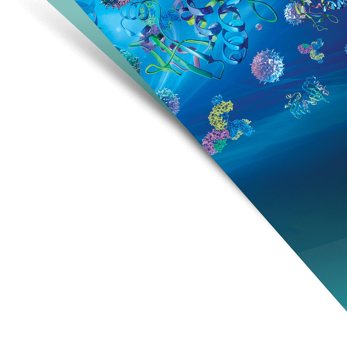 Header Background